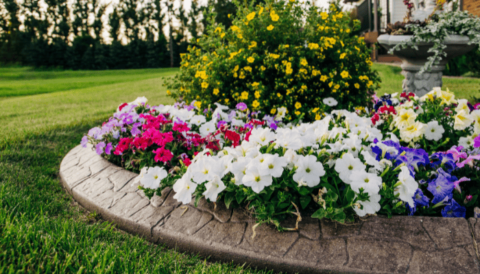budget friendly curb appeal ideas for a fixer upper. flowers bed in a yard.
