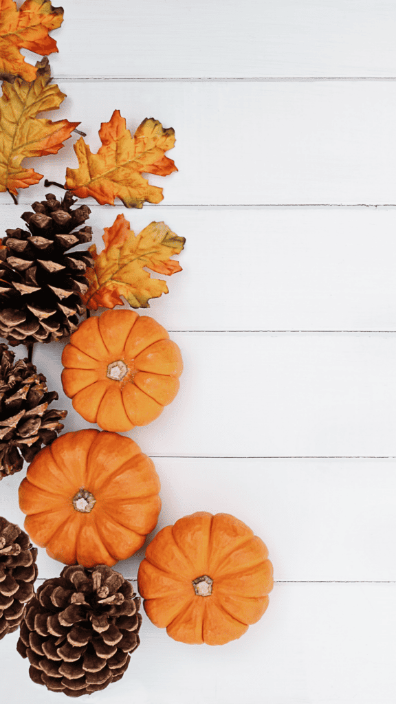 shiplap with pumpkins and pine cones