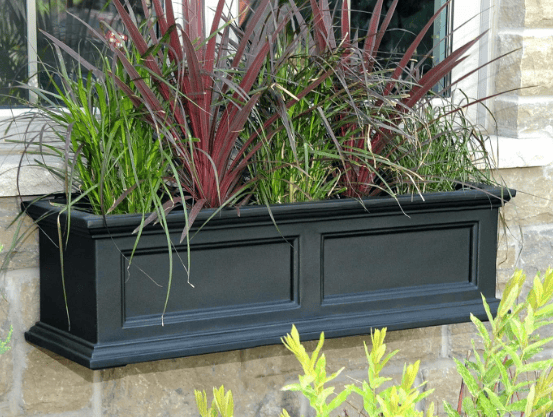 window box ideas for curb appeal