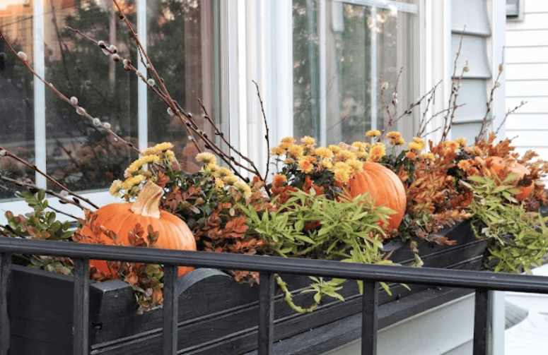 window box ideas for the fall